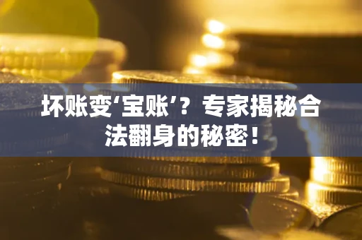 北京坏账变‘宝账’？专家揭秘合法翻身的秘密！