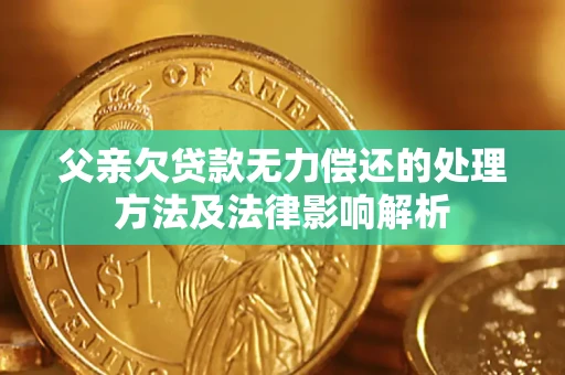 北京父亲欠贷款无力偿还的处理方法及法律影响解析