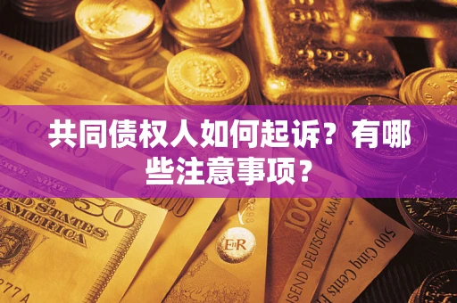 北京共同债权人如何起诉？有哪些注意事项？
